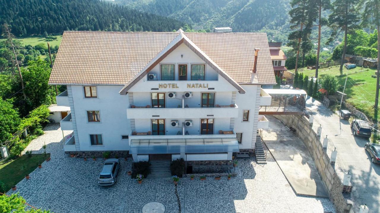 Natali Hotel Боржоми Экстерьер фото