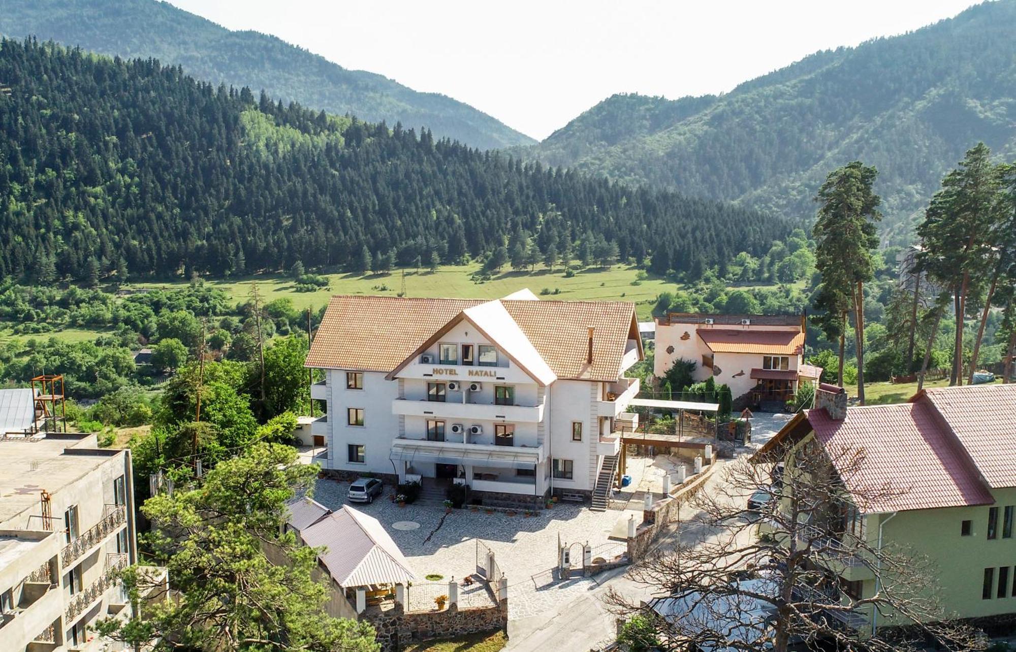 Natali Hotel Боржоми Экстерьер фото